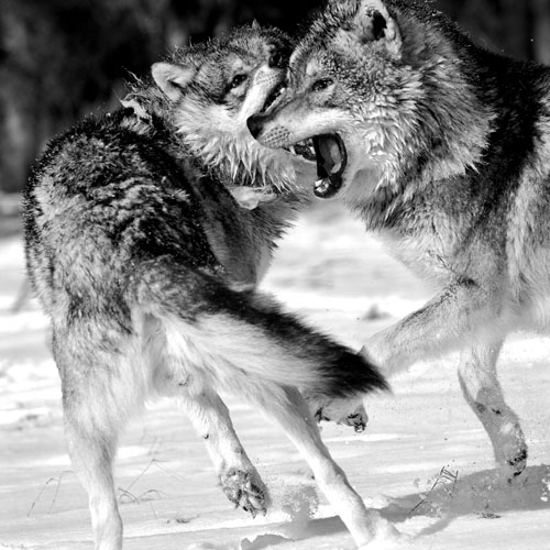 Carsten aus Meschede